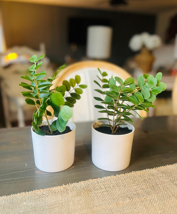 Faux Plant Decor (Set of 2)